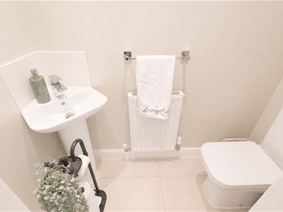 Picture 19